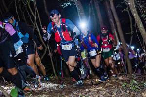 BIB: 2519, 298
                            <button type="button" onclick="openModal(19038428)" class="btn btn-primary btn-sm float-right btn-popup" data-toggle="modal" data-target=".modal-high-quality">
                        <i class="fas fa-shopping-cart"></i> Add to Cart
                    </button>
                                            <button type="button" onclick="isThisMe(19038428, true)" class="btn btn-success btn-sm float-right btn-popup btn-isme hidden" data-toggle="tooltip" data-placement="bottom" title="นี่คือรูปของคุณใช่ไหม คลิกที่นี่เพื่อเอาเข้าอัลบั้ม">
                        <i class="fas fa-plus"></i> Add to album
                    </button>
                    <button type="button" onclick="isThisMe(19038428, false)" class="btn btn-warning btn-sm float-right btn-popup btn-isnotme hidden">
                        <i class="fas fa-ban"></i> Remove from album
                    </button>